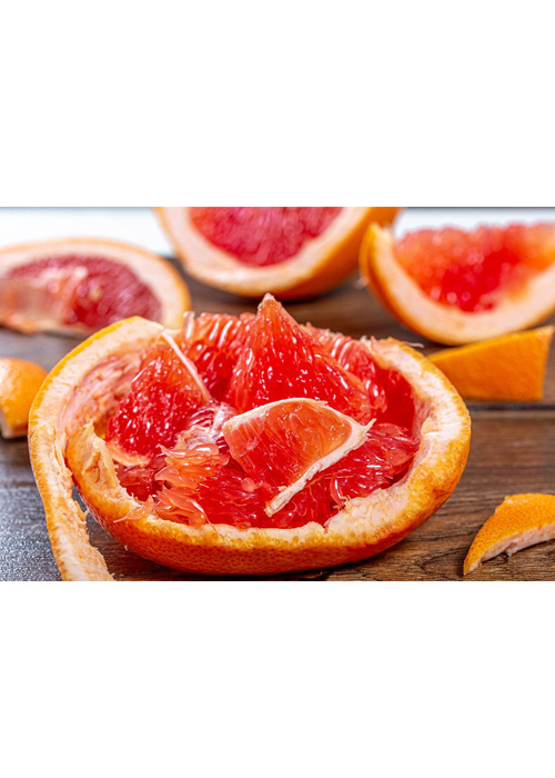orangen_tester_filter_entsafter_tester_oskar_kuechenmaschine